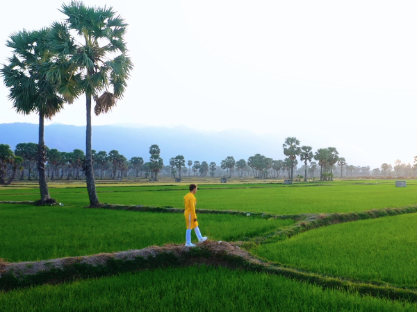 Cánh đồng thốt nốt An Giang đẹp choáng ngợp qua MV Một Vòng Việt Nam