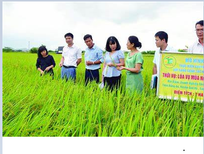 Nhiều giải pháp phát triển nông nghiệp ở An Giang