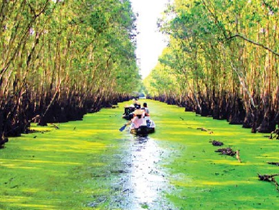 Về miền Tây Nam Bộ trải nghiệm du lịch chèo xuồng