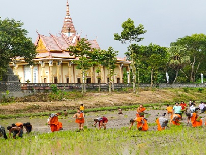 Về Tịnh Biên Vui Hội Chùa Rô